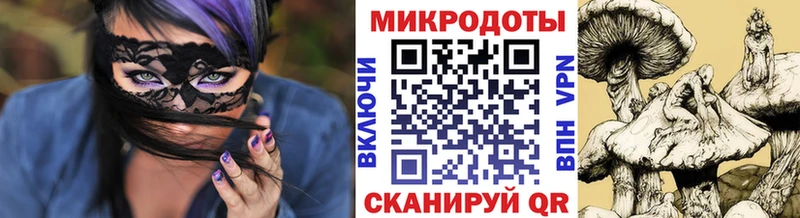 Псилоцибиновые грибы прущие грибы  Светогорск 